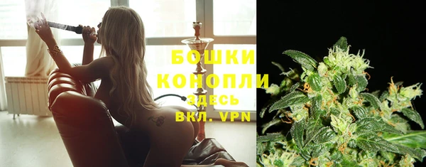 дмт Осташков