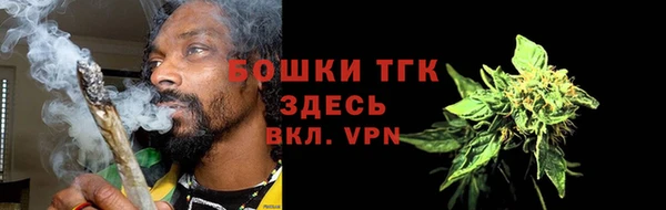 гашик Осинники
