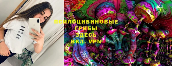 мяу мяу кристалл Переславль-Залесский