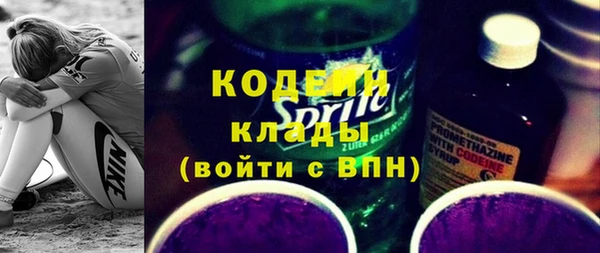 гашик Осинники