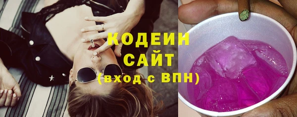 гашик Осинники