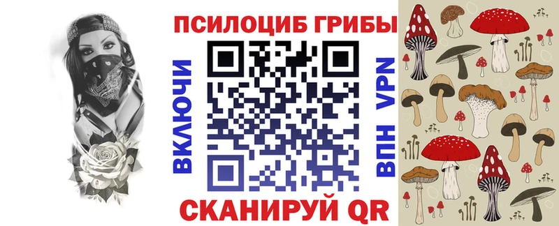 наркотики  Губкинский  Псилоцибиновые грибы Cubensis 